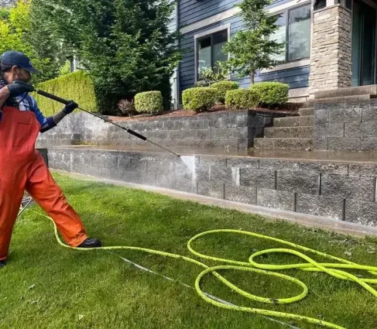 Professional pressure washing experts cleaning home exterior in Florida